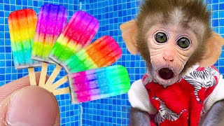 BiBon Monkey eats Mini rainbow icecream with dad! Animal HT