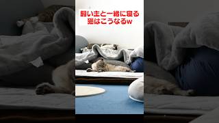 猫が飼い主と一緒に寝るとこうなりますw