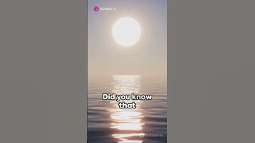 Photosynthesis  Nature