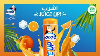 Igloo - Fresh and Fruity Juice Up Orange Flavor