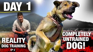 WHAT HAVE I DONE?! First Day of Training with This COMPLETELY UNTRAINED DOG. [Reality Dog Training]