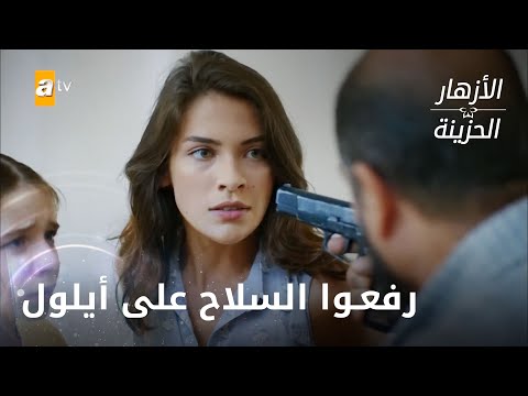 رفعوا السلاح على أيلول وبشرى الحلقة 275 الأزهار الحزينة