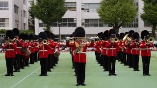 Marching Sergeant.Coldstream Guards