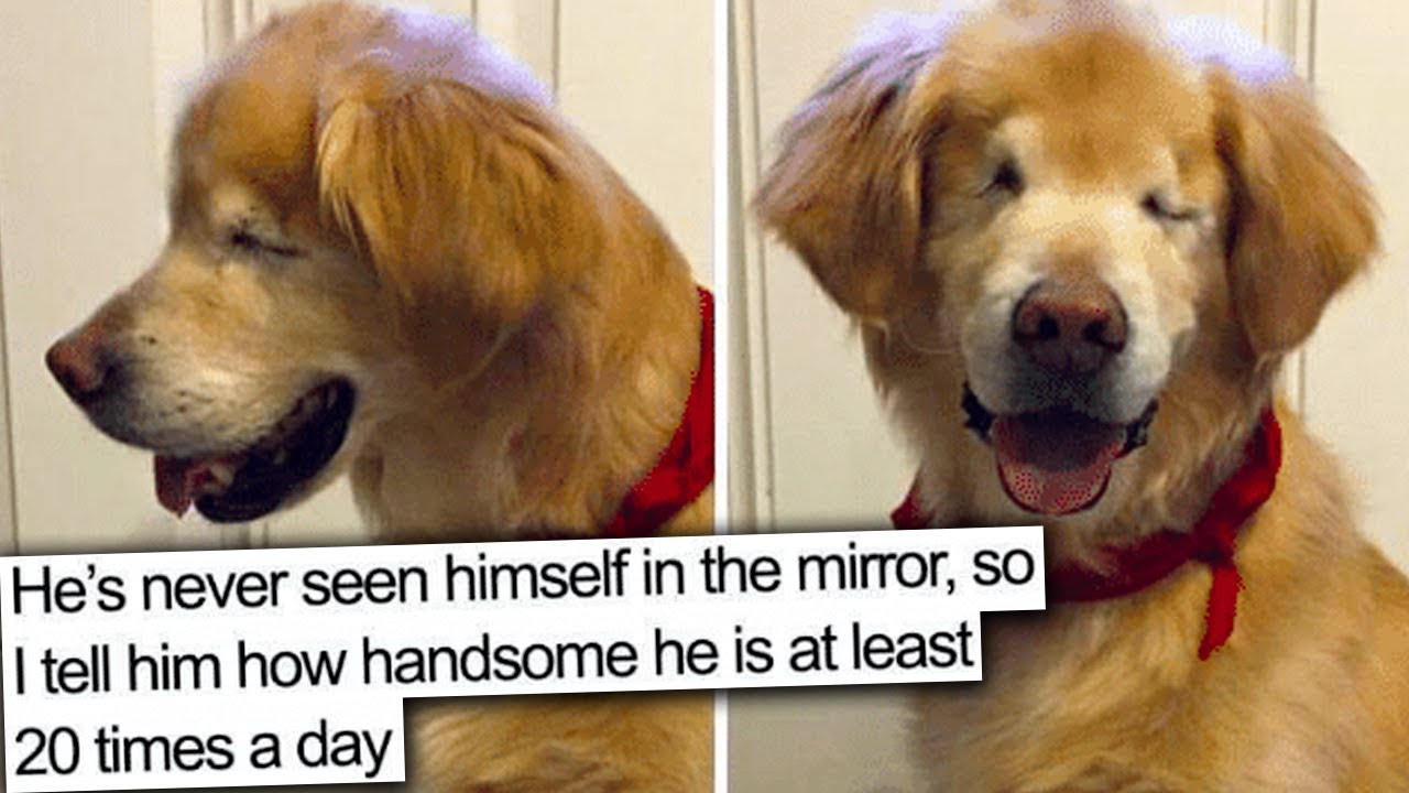 this video will make you smile :)
