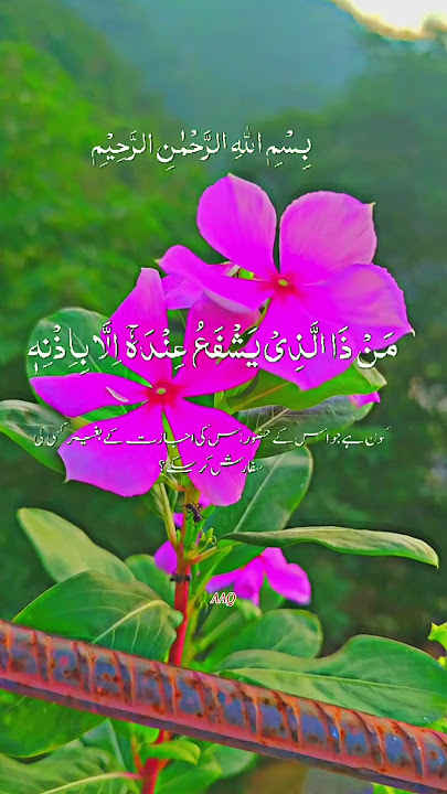 Ayat ul qursi ❤️‍🩹 #shortvideo #trending #shorts