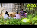 Eco India: Meet the woman leading a herbal medicine & grassroots wellness renaissance in Tamil Nadu