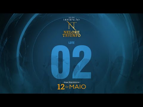 LOTE 02 - CCET 318