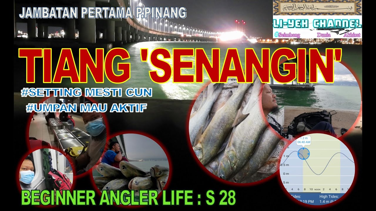 BALS28 | TIANG SENANGIN | CARA MEMANCING SENANGIN | JAMBATAN PULAU PINANG PERTAMA