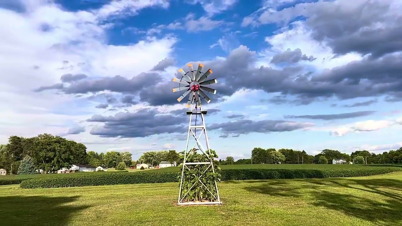 Ohio farm blustery afternoon 💨 real time & sounds, 10 August 2024