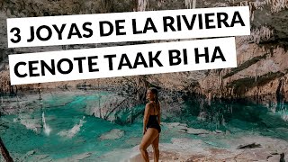 HIDDEN GEMS : Cenote Taak Bi Ha + Playa Xcacel + Caleta Yalku