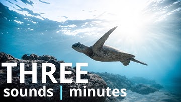 3 Free underwater sound effects for your next project. #nocopyright