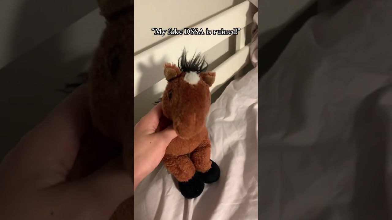 #disabilitysupportstuffedanimal