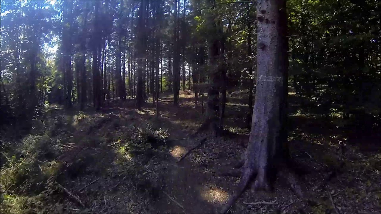 Mountainbike Aargau Gislifluh Single Trails
