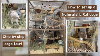 How to step up a Naturalistic Rat cage  Step by step