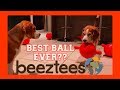 BEST BALL FOR A DOG EVER?? DOG TOY CRITIC LOUIE THE BEAGLE