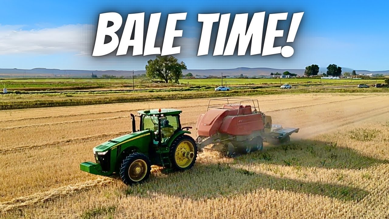 Baling Over 2000 Straw Bales After Wheat Harvest! - YouTube