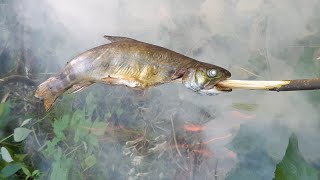 Alder-smoked Speckled Trout