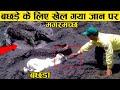 ऐसे नेकदिल लोगो को तो अवार्ड देना चाहिए ।। Heart warming animal rescue (Part-4)