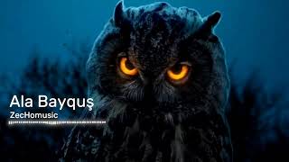 Ala Bayquşby Zechomusic Z.h