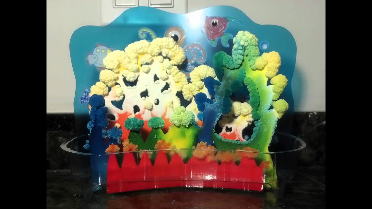 Growing Crystals [timelapse movie] YouTube