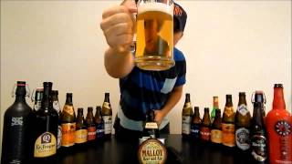 Budweiser Budvar Beer Review! - EducatedBuzz screenshot 4