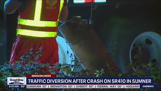Traffic diverted after SR-410 crash in Sumner | FOX 13 Seattle