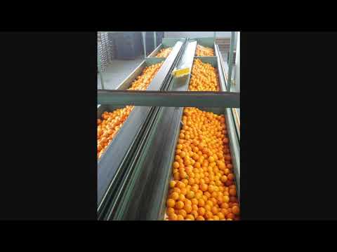 Laconic Gardens - Happy New Year 2018! 🍾🎉🎅🍊