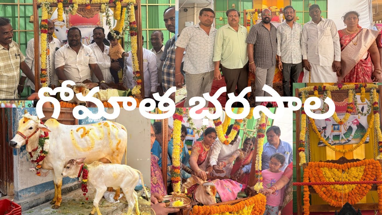 Gomatha bharasala 🐄|| గోమాత భరసాల🐮🤠#plz_subscribe_my_channel 