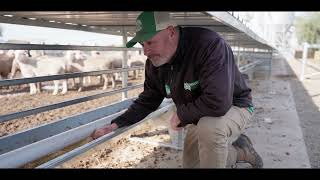 Northern Victorian Feedlot Project - June 2026