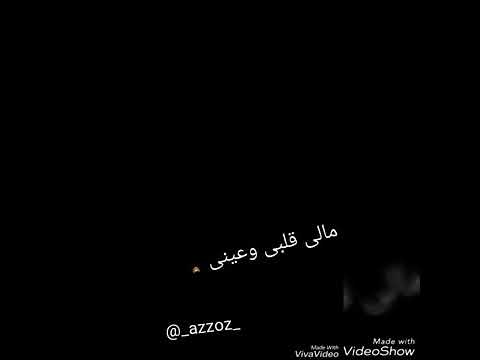 مالي قلبي وعيني