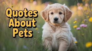20 Pet Love Quotes - Inspiring Quotes for Pet Lovers ❤️🐶🐱 screenshot 5