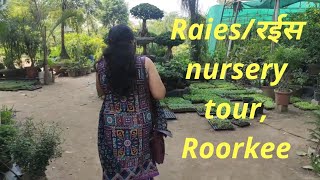 100.  Nursery Tour, Raies/रईस Sunhari Nursery, Roorkee  #roorkeenursery  #uttarakhand   #haridwar