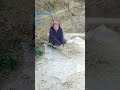 बीज बहुत सुख गया है!#youtube #gardening #organic #farming #agriculture