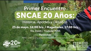 Primer Encuentro On line SNCAE 20 años: Historia, Aportes y Desafíos