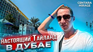 :    .   ,    . JBR. Centara Mirage
