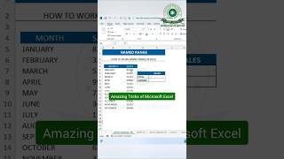Make your Excel work faster with the Name Range feature! 📊 #ExcelTips #MicrosoftExcel #ExcelLearning