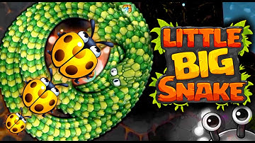 Little Big Snake.io Gameplay!!  GRASS SNAKE v/s LEGENDARY SKIN SNAKE | Revel Kills | Snake games
