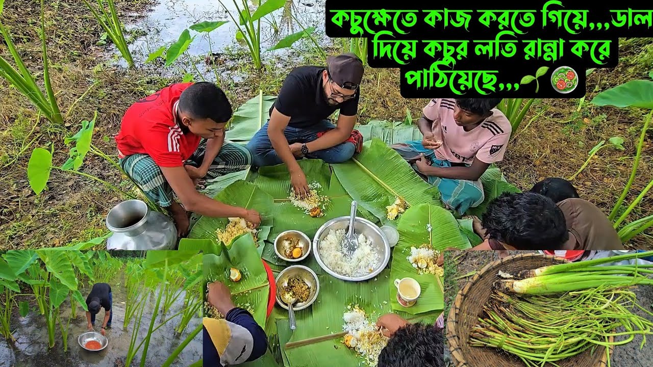 কচুক্ষেতে কাজ করতে গিয়ে,,,ডাল দিয়ে কচুর লতি রান্না,,,🌱🥗