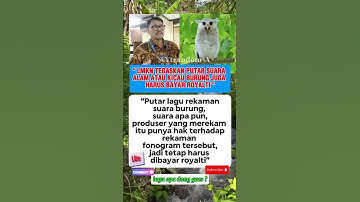 LMKN Tegaskan Putar Kicau Burung Juga Harus Bayar royalti #viral #trending #shortsfeed