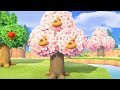 How To Get A Money Tree In Animal Crossing New Horizons ...