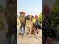 WEKENI MAPOZI MABWABWA NYIE ЁЯШВЁЯШВ Viralvideo Movie Bestcomedyskit Duet Humormemes Film WEKENI MAPOZI MABWABWA NYIE ЁЯШВЁЯШВ Viralvideo Movie Bestcomedyskit Duet Humormemes Film