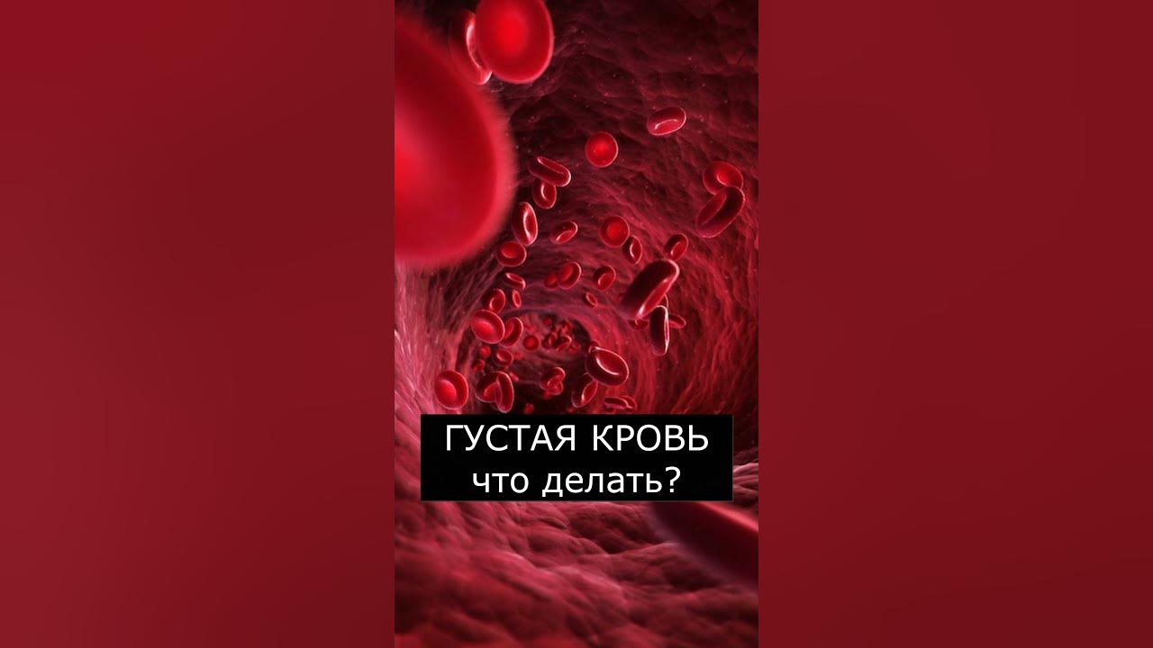 Густая кровь в организме
