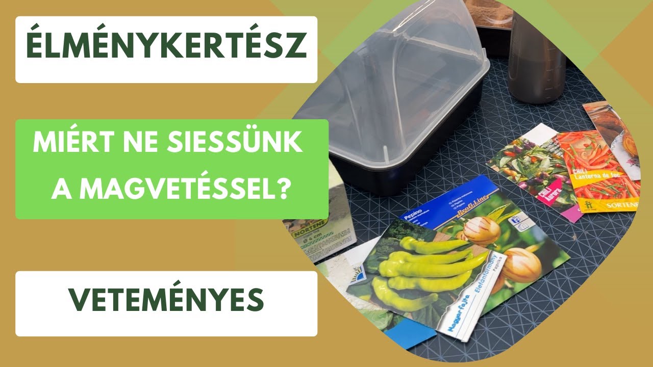 Élménykertész útmutató a sikeres magvetéshez, palántázáshoz🌱 Nem kell sietni, abból csak baj lesz!