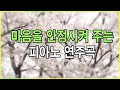 마음을 안정시켜 주는 피아노 연주곡 - 3시간