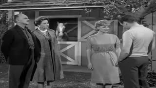 Mister Ed Season 1 Episode 9 (1961) The Aunt