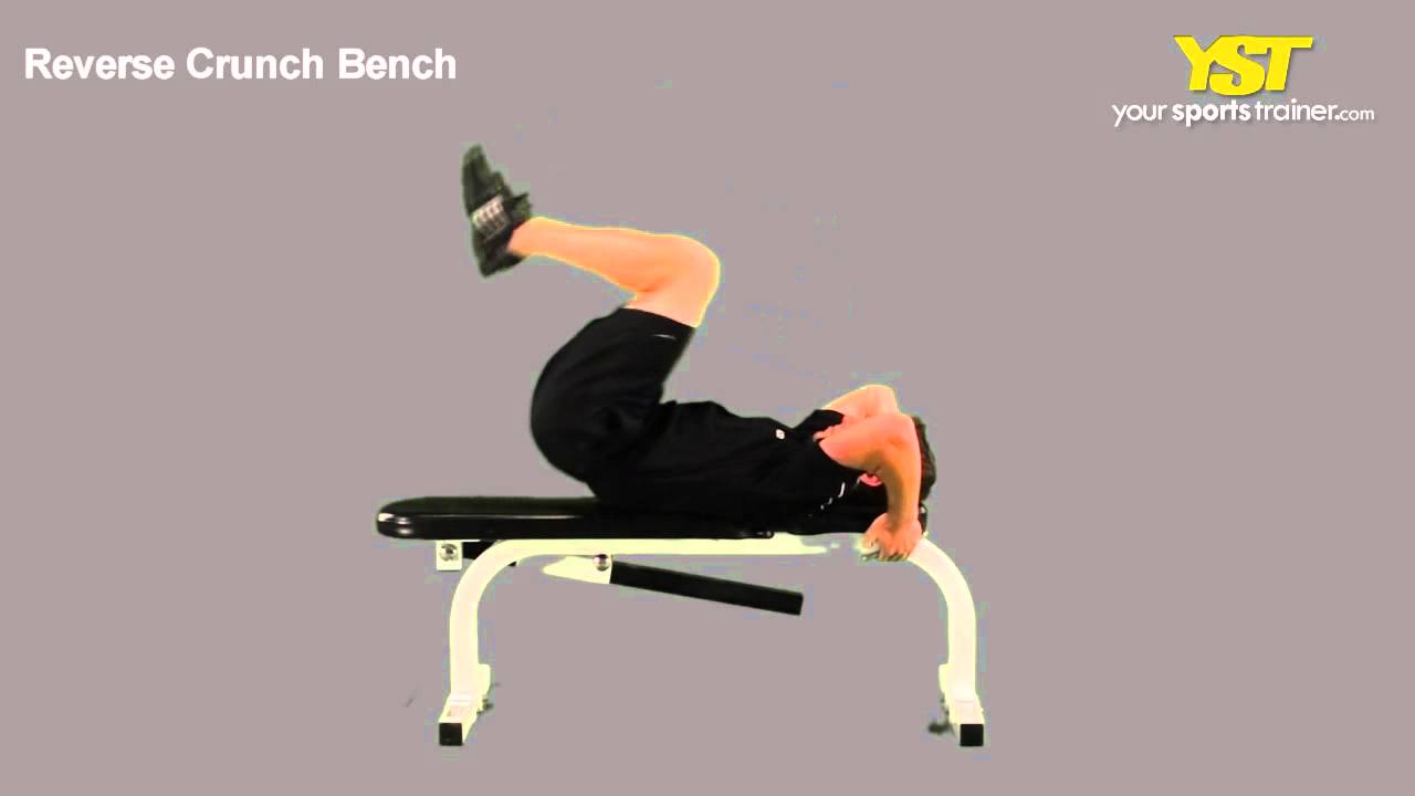 Reverse Crunch Bench Exercise Youtube