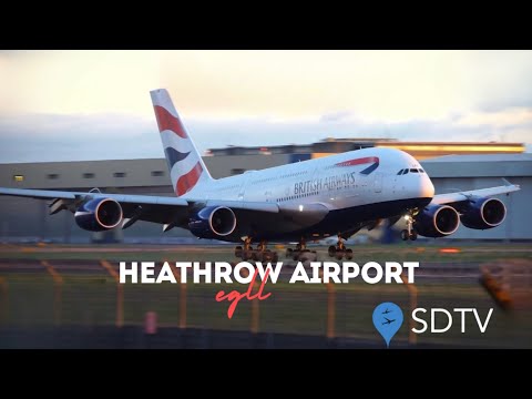 Fridays - Heathrow Airport Live - 10th October 2025