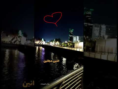 حالات حب اغنية أنا وانتة حالة استثنائية انغام