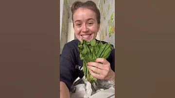 Суп из щавеля