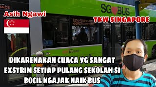 CUACA EXSTRIM DI SINGAPORE ❗ SINGAPORE BUS ❗@AsihNgawi